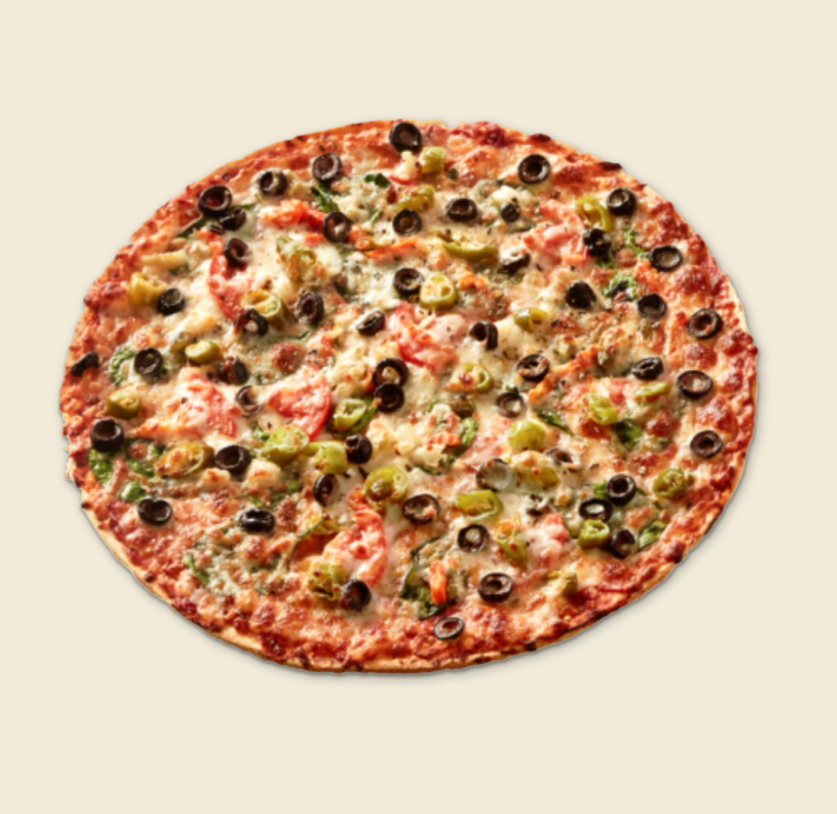 A colorful Veggie Pizza topped with black olives, green peppers, tomatoes, mushrooms, and melted cheese on a thin crust.